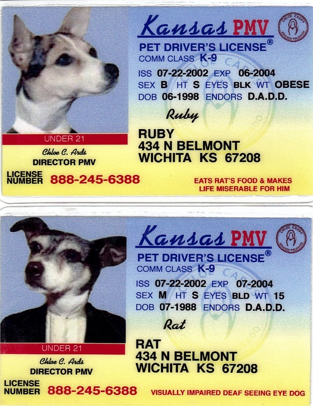 Rat and Ruby's Drivers Licenses